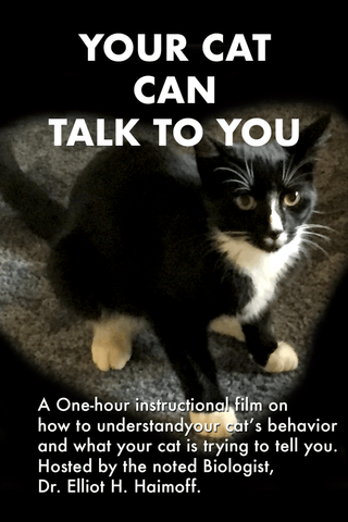 Your Cat Can Talk to You