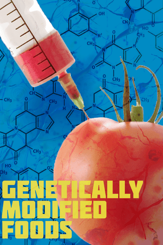 Genetically Modified Food: Panacea or Poison
